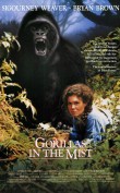 Emisión: 09 Octubre 2016 Dian Fossey llega a África para confeccionar un censo sobre una especie en peligro de extinción: el gorila de montaña. Acompañada por un rastreador nativo comienza su trabajo y queda fascinada por la vida de esos animales, a los que no teme acercarse para estudiar su comportamiento. Entre Dian y los gorilas llega a establecerse una […]